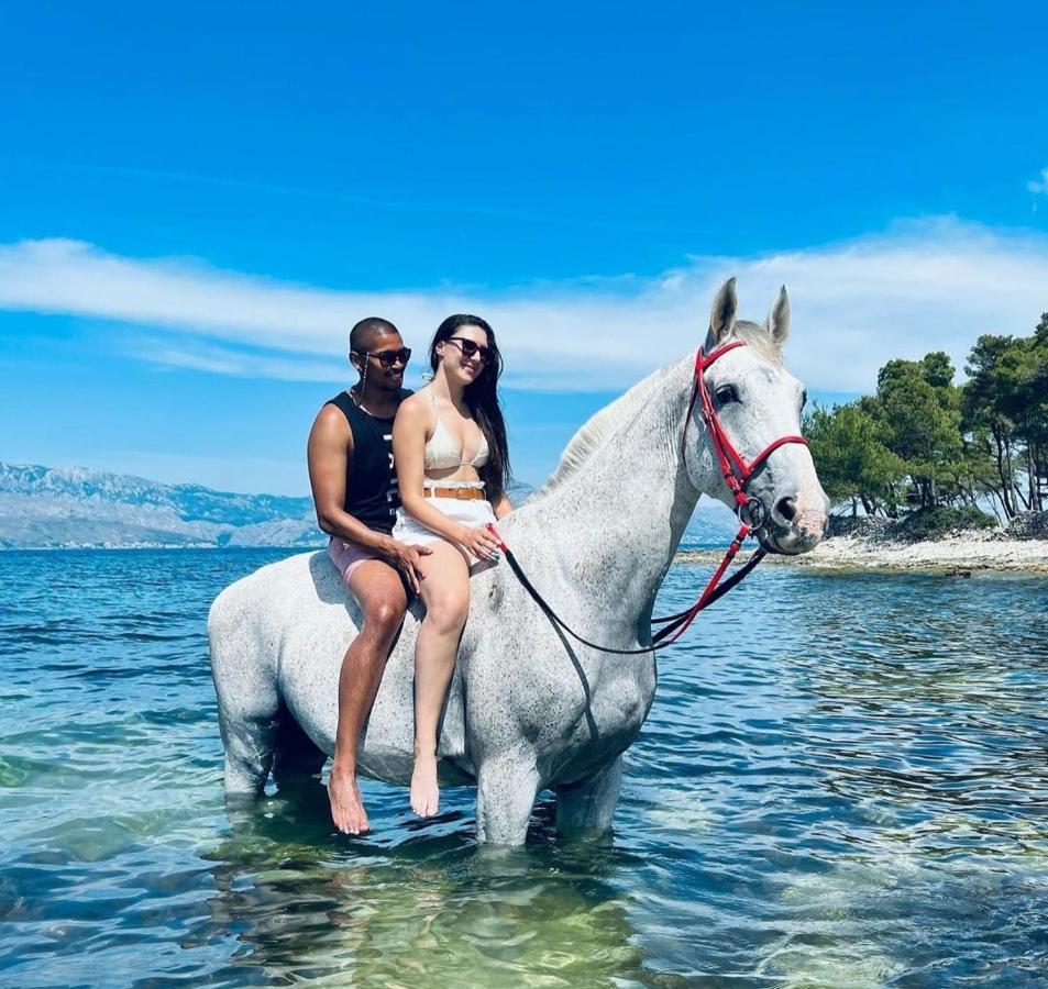 Apartments4You Supetar-The Best And Most Popular Apartments For Discovering The Island - Free Parking - 200 Meters From The Beach Εξωτερικό φωτογραφία
